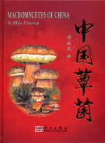 中国蕈菌