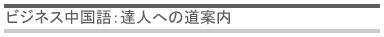 ビジネス中国語：達人への道案内