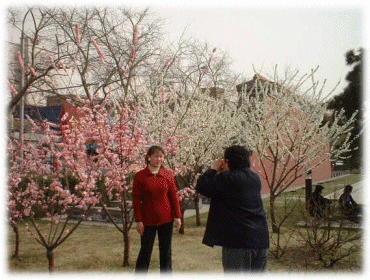 bj200403_a