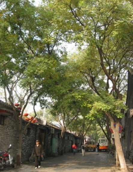 bj200711_01