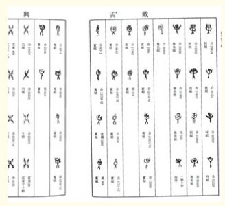 輸入書 新甲骨文編（增訂本）【中国・本の情報館】東方書店