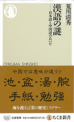 漢語の謎 日本語と中国語のあいだ/ちくま新書