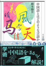 中国語とはどのような言語か ／東方選書59