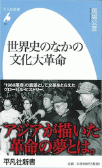 世界史のなかの文化大革命